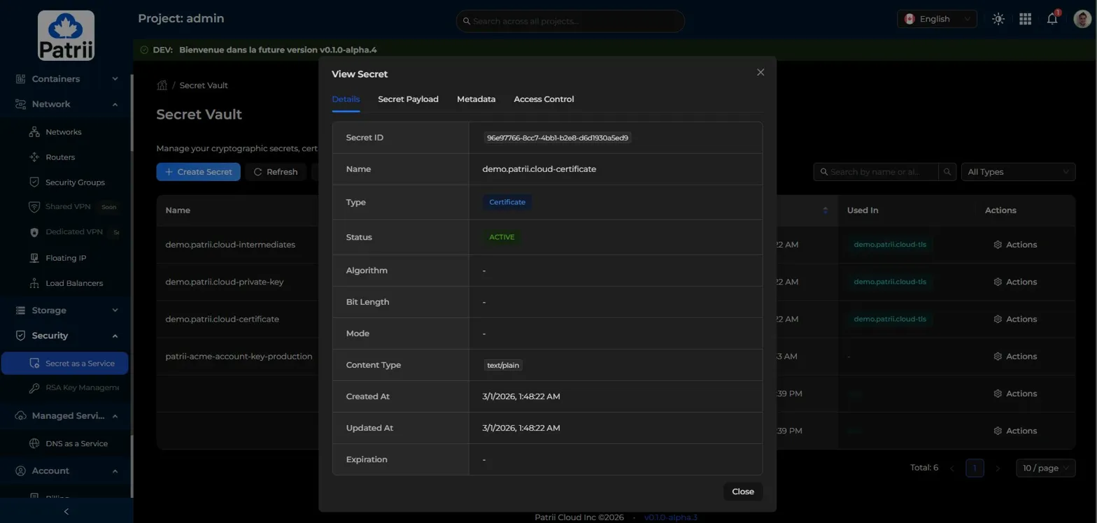 View Secret modal showing secret details including ID, name, type, and status